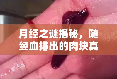 月經(jīng)之謎揭秘，隨經(jīng)血排出的肉塊真相