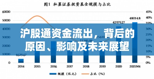 滬股通資金流出，背后的原因、影響及未來(lái)展望