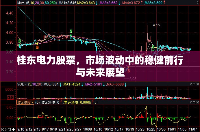桂東電力股票，市場波動中的穩(wěn)健前行與未來展望