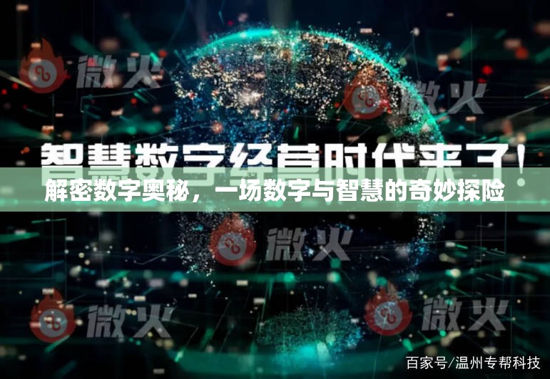 解密數(shù)字奧秘，一場數(shù)字與智慧的奇妙探險(xiǎn)