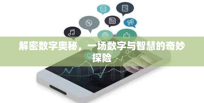 解密數(shù)字奧秘，一場數(shù)字與智慧的奇妙探險(xiǎn)