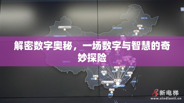 解密數(shù)字奧秘，一場數(shù)字與智慧的奇妙探險(xiǎn)