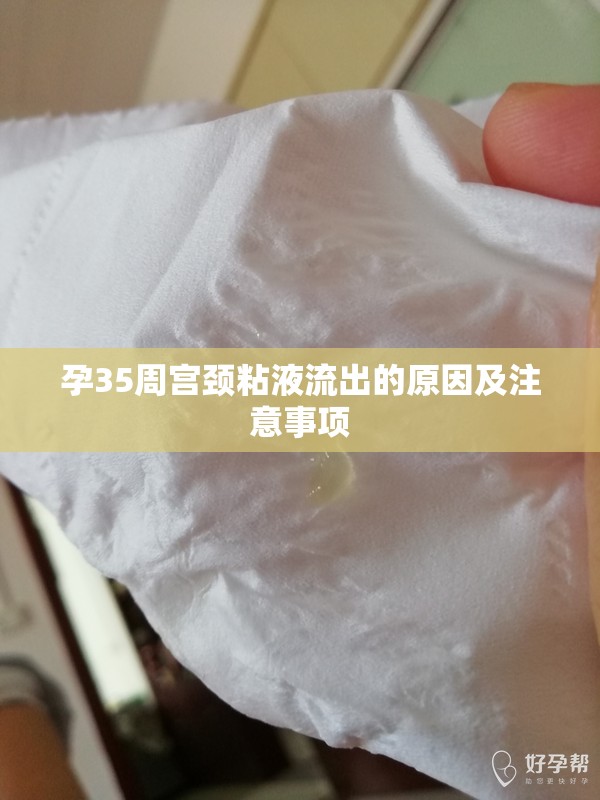 孕35周宮頸粘液流出的原因及注意事項(xiàng)