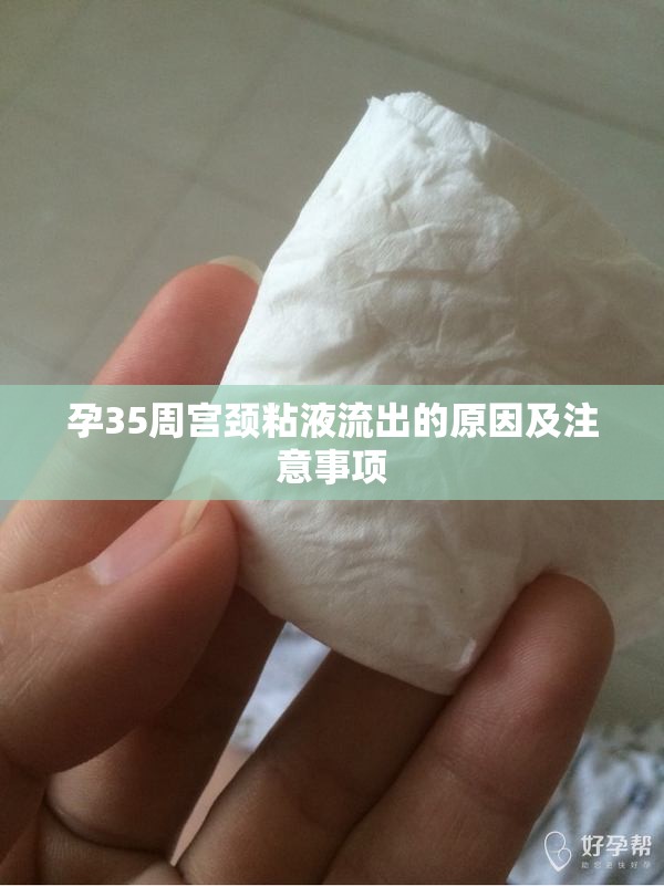 孕35周宮頸粘液流出的原因及注意事項(xiàng)