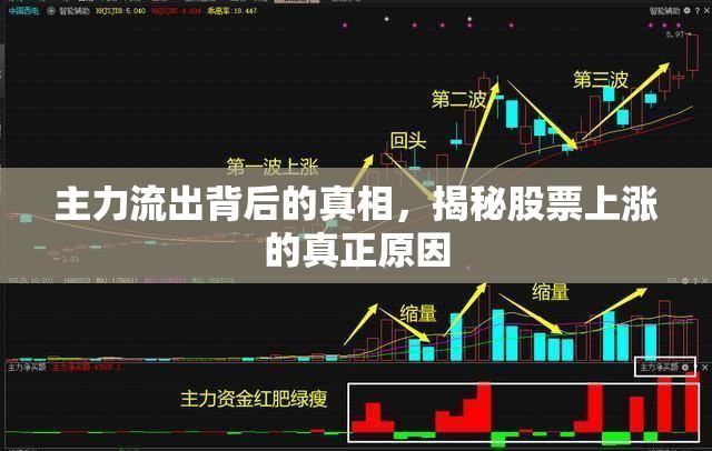 主力流出背后的真相，揭秘股票上漲的真正原因