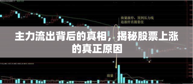 主力流出背后的真相，揭秘股票上漲的真正原因