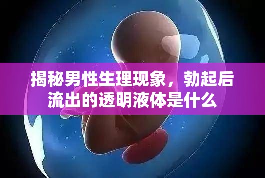 揭秘男性生理現(xiàn)象，勃起后流出的透明液體是什么