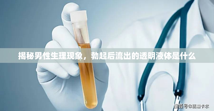 揭秘男性生理現(xiàn)象，勃起后流出的透明液體是什么