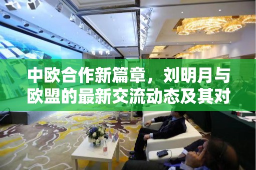 中歐合作新篇章，劉明月與歐盟的最新交流動態(tài)及其對雙邊關(guān)系的影響