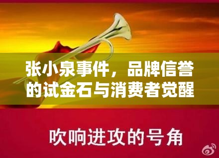 張小泉事件，品牌信譽的試金石與消費者覺醒的號角