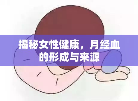 揭秘女性健康，月經(jīng)血的形成與來源