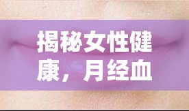 揭秘女性健康，月經(jīng)血的形成與來源