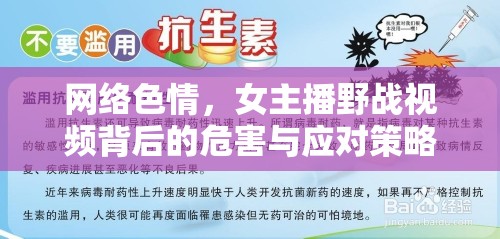 網(wǎng)絡(luò)色情，女主播野戰(zhàn)視頻背后的危害與應(yīng)對(duì)策略