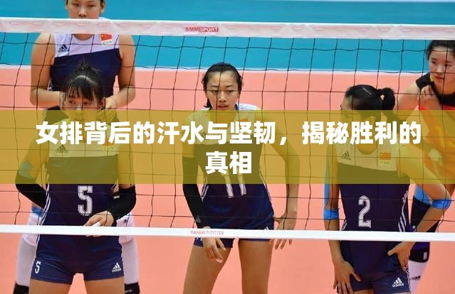 女排背后的汗水與堅(jiān)韌，揭秘勝利的真相