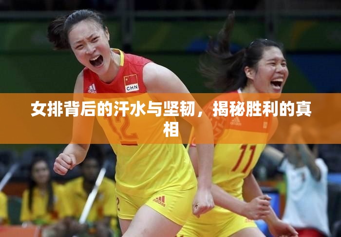 女排背后的汗水與堅(jiān)韌，揭秘勝利的真相