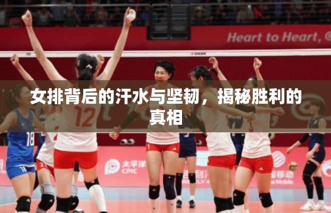 女排背后的汗水與堅(jiān)韌，揭秘勝利的真相