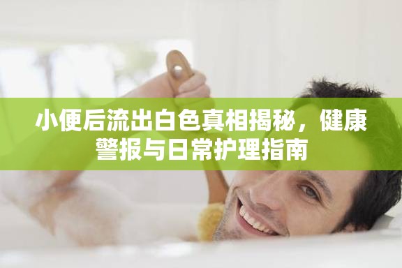 小便后流出白色真相揭秘，健康警報(bào)與日常護(hù)理指南