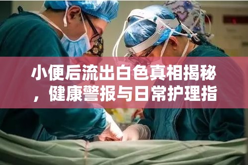 小便后流出白色真相揭秘，健康警報(bào)與日常護(hù)理指南