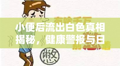 小便后流出白色真相揭秘，健康警報(bào)與日常護(hù)理指南