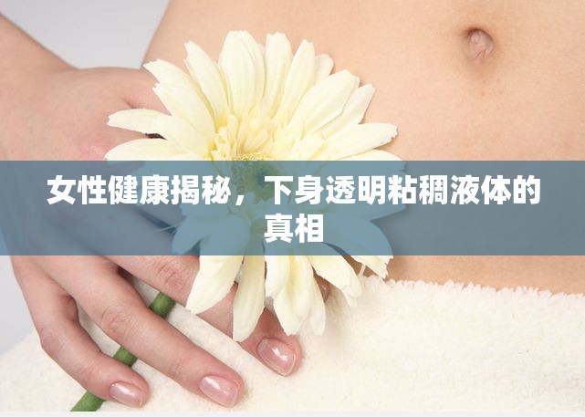 女性健康揭秘，下身透明粘稠液體的真相