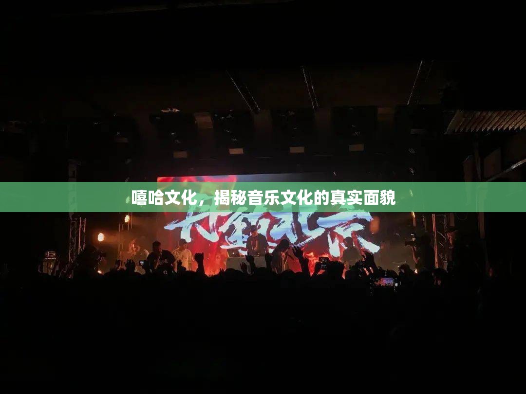 嘻哈文化，揭秘音樂文化的真實面貌