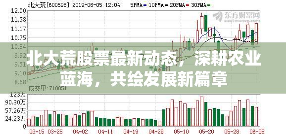 北大荒股票最新動態(tài)，深耕農業(yè)藍海，共繪發(fā)展新篇章