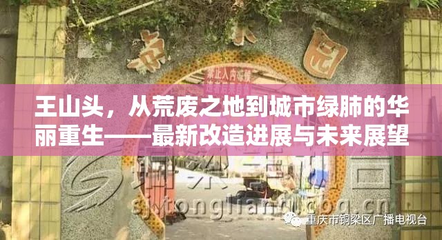 王山頭，從荒廢之地到城市綠肺的華麗重生——最新改造進(jìn)展與未來(lái)展望