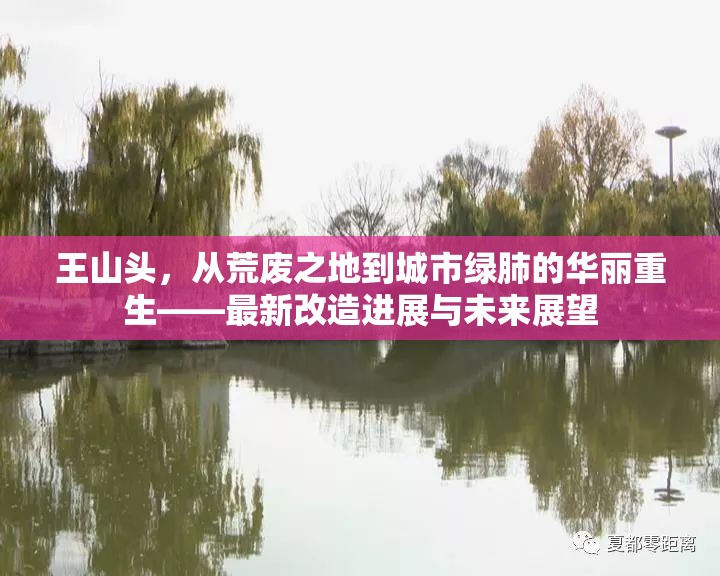 王山頭，從荒廢之地到城市綠肺的華麗重生——最新改造進(jìn)展與未來(lái)展望