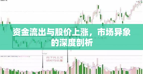 資金流出與股價(jià)上漲，市場(chǎng)異象的深度剖析