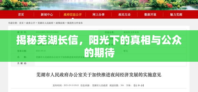 揭秘蕪湖長信，陽光下的真相與公眾的期待
