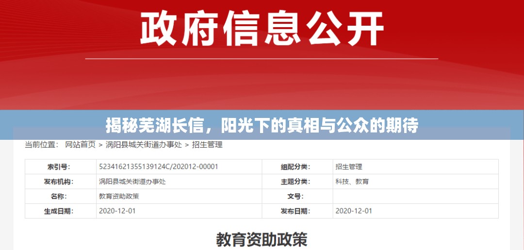 揭秘蕪湖長信，陽光下的真相與公眾的期待