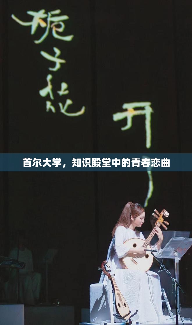 首爾大學，知識殿堂中的青春戀曲