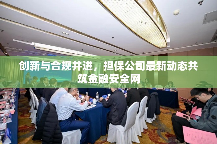 創(chuàng)新與合規(guī)并進，擔保公司最新動態(tài)共筑金融安全網(wǎng)