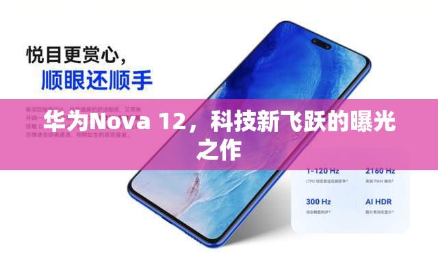 華為Nova 12，科技新飛躍的曝光之作