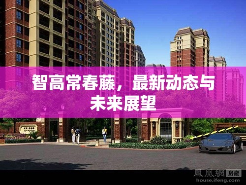 智高常春藤，最新動(dòng)態(tài)與未來(lái)展望