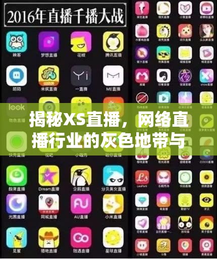 揭秘XS直播，網(wǎng)絡(luò)直播行業(yè)的灰色地帶與風(fēng)險(xiǎn)警示