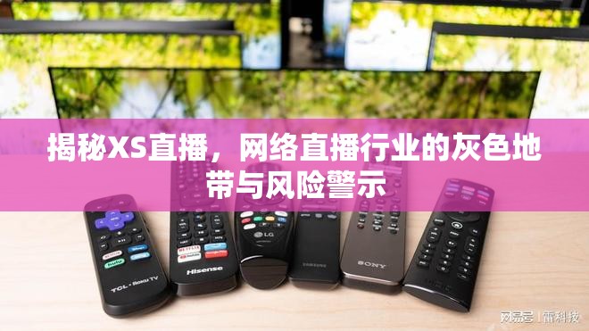 揭秘XS直播，網(wǎng)絡(luò)直播行業(yè)的灰色地帶與風(fēng)險(xiǎn)警示