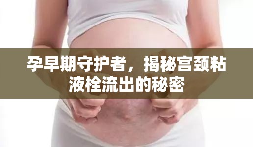 孕早期守護(hù)者，揭秘宮頸粘液栓流出的秘密