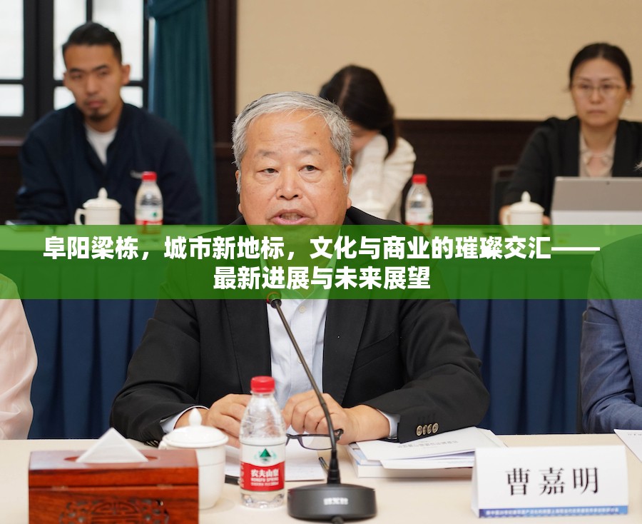 阜陽梁棟，城市新地標(biāo)，文化與商業(yè)的璀璨交匯——最新進(jìn)展與未來展望
