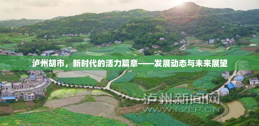 瀘州胡市，新時(shí)代的活力篇章——發(fā)展動(dòng)態(tài)與未來(lái)展望