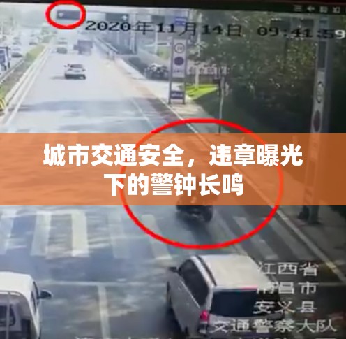 城市交通安全，違章曝光下的警鐘長鳴