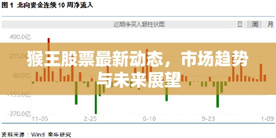 猴王股票最新動態(tài)，市場趨勢與未來展望