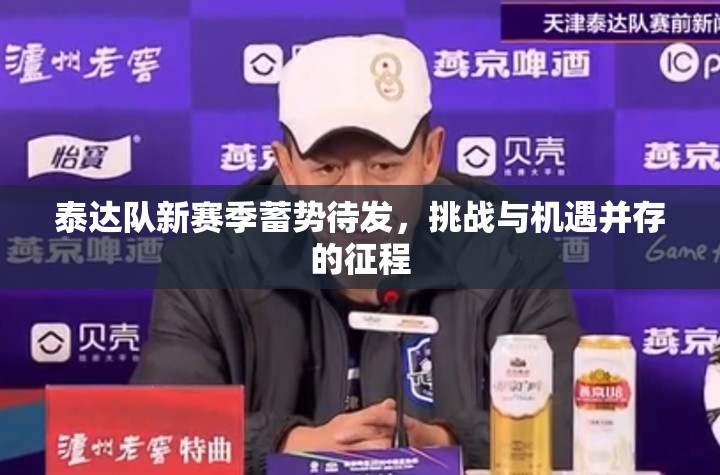 泰達(dá)隊(duì)新賽季蓄勢(shì)待發(fā)，挑戰(zhàn)與機(jī)遇并存的征程