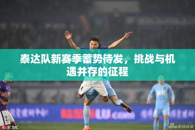 泰達(dá)隊(duì)新賽季蓄勢(shì)待發(fā)，挑戰(zhàn)與機(jī)遇并存的征程