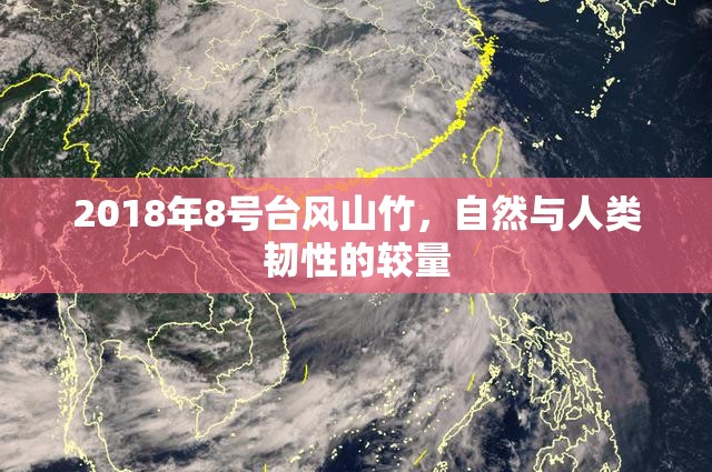 2018年8號臺(tái)風(fēng)山竹，自然與人類韌性的較量