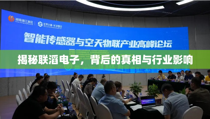 揭秘聯(lián)滔電子，背后的真相與行業(yè)影響