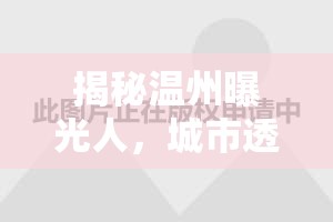 揭秘溫州曝光人，城市透明化的幕后推手
