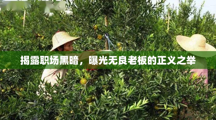揭露職場(chǎng)黑暗，曝光無良老板的正義之舉