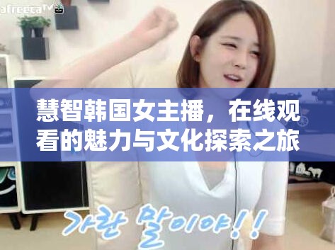 慧智韓國女主播，在線觀看的魅力與文化探索之旅