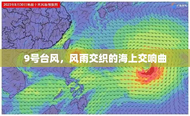 9號(hào)臺(tái)風(fēng)，風(fēng)雨交織的海上交響曲